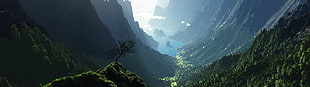 green covered mountains