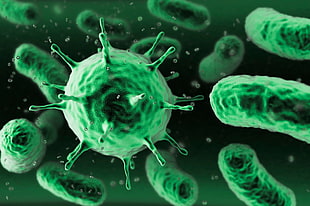 bacteria illustration, microscopic, macro, miniatures, bacteria