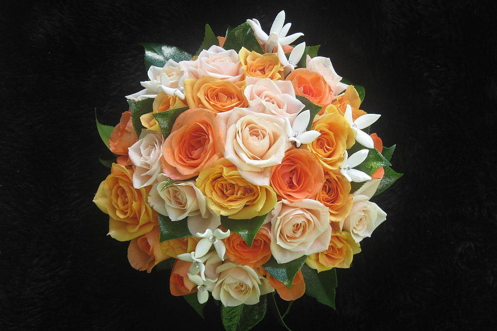 Roses,  Flower,  Orange,  Leaf HD wallpaper