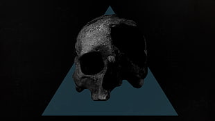 human skull illustration, skull, minimalism HD wallpaper