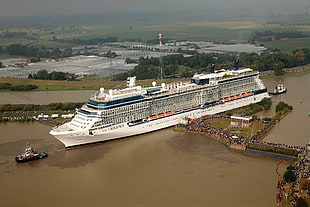 white and blue cruise ship, ship, vehicle, cruise ship HD wallpaper