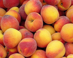peach fruit lot, fruit, peaches HD wallpaper