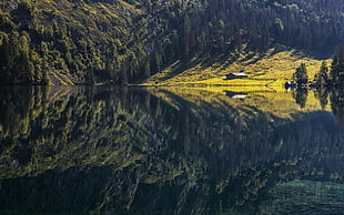 green trees, landscape, nature, mountains, lake HD wallpaper
