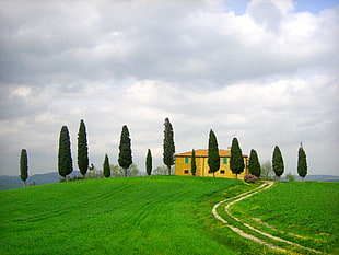 landscape photography of yellow house on hill with green-leaf trees under cloudy sky during daytime, toscana