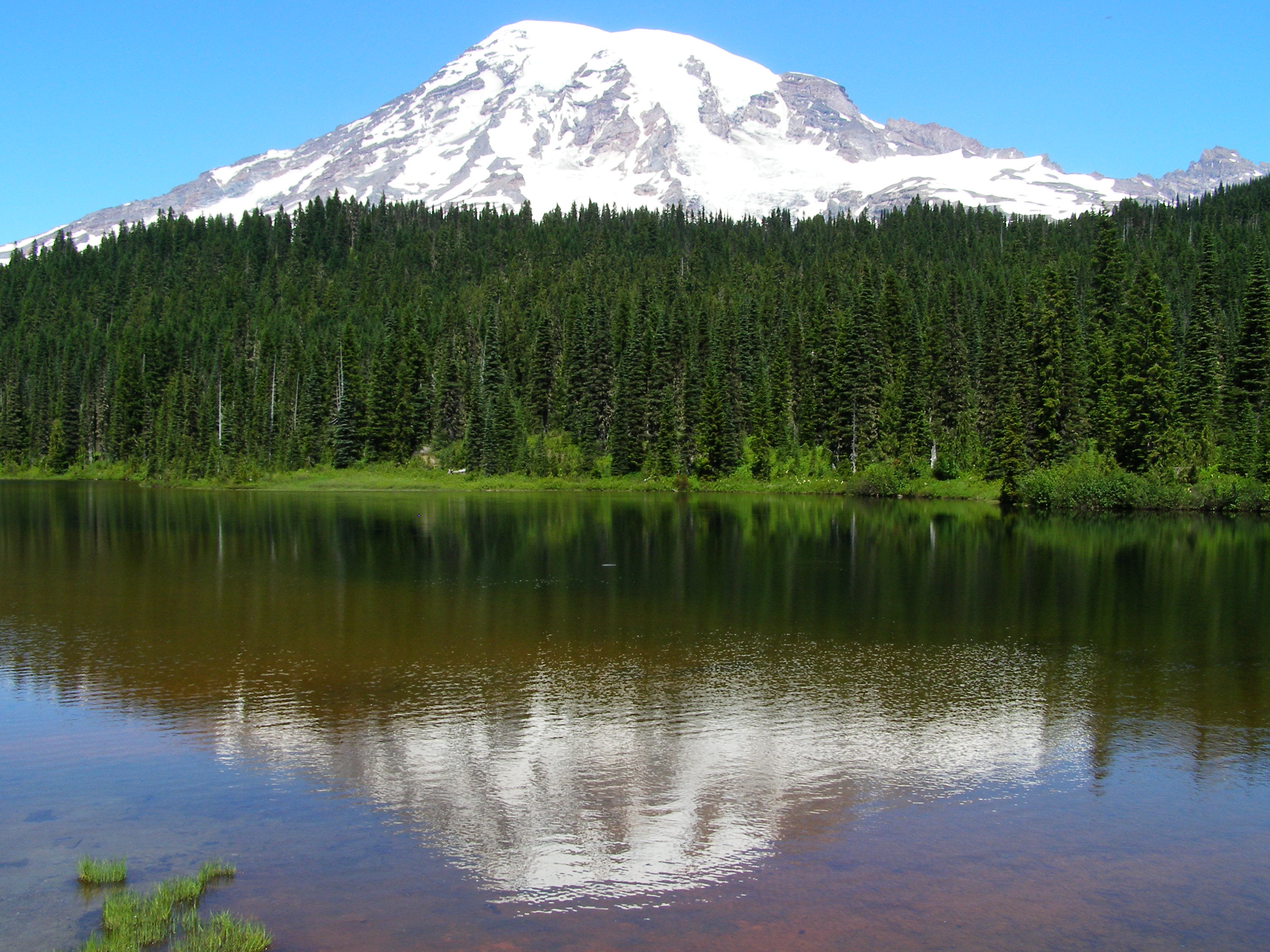 snow covered mountain near green trees and lake under blue sky, mount rainier