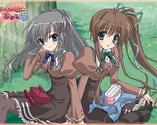 brown and grey haired female anime characters