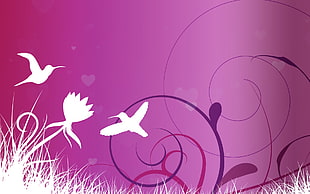 purple and white bird digital wallpaper