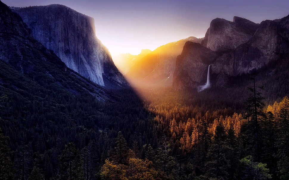 green trees near mountain HD wallpaper