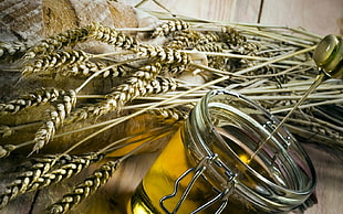 wheat grains near glass container with honey
