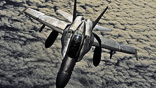 grey jet plane, military, war, airplane, FA-18 Hornet