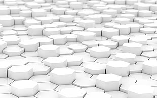 photo of white brick pavements