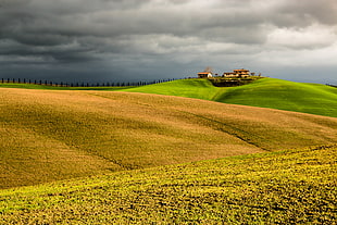 landscape photo of grass field near houses HD wallpaper