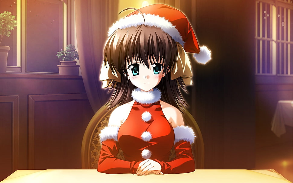 female cartoon character wearing santa costume HD wallpaper