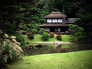 brown and white 2-storey house, Japan, garden, house