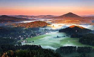 aerial photograph of town, summer, morning, mist, forest