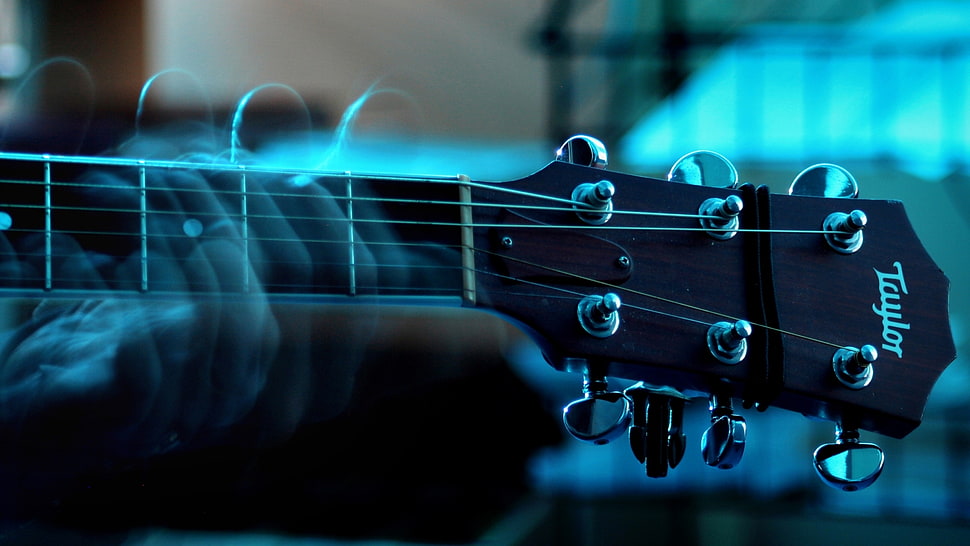 black Taylor guitar headstock HD wallpaper