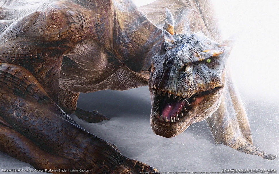 brown dinosaur, Monster Hunter, dragon, Tigrex HD wallpaper