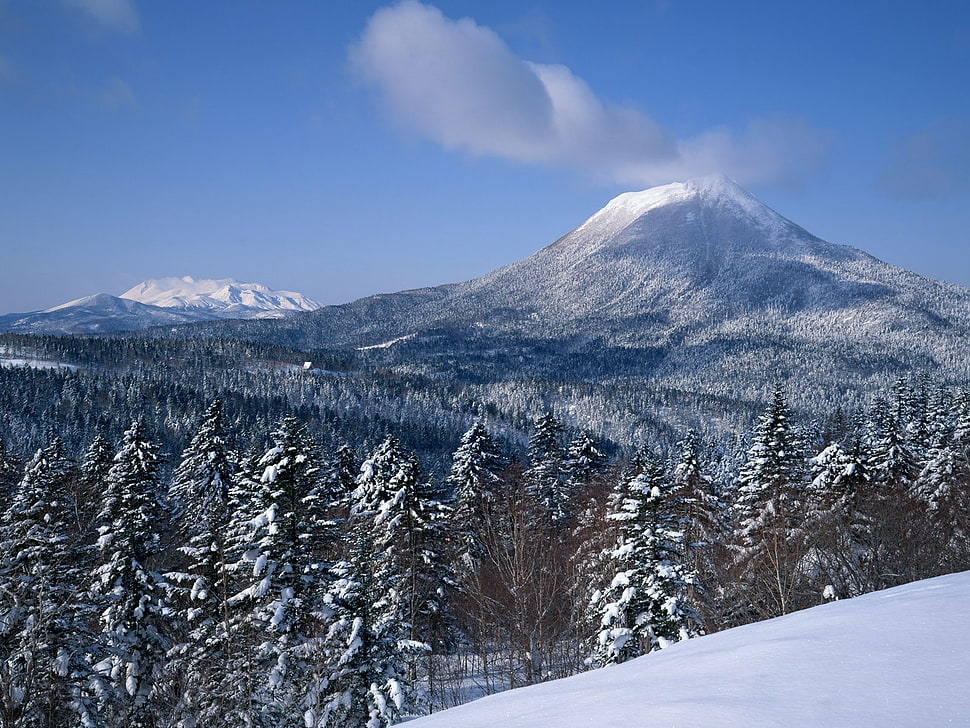 snow season HD wallpaper