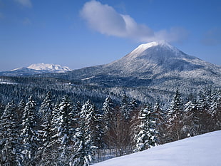 snow season