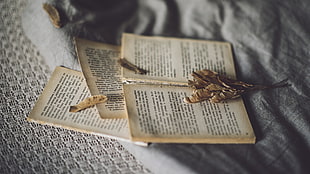 book pages, books, cloth, depth of field, samaras