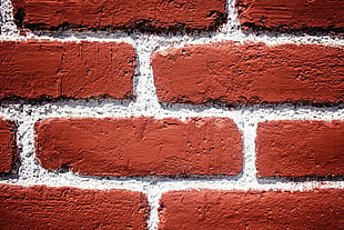 red concrete bricked wall