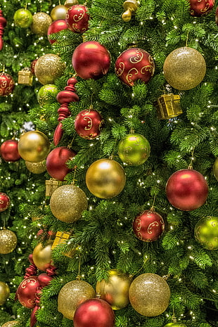 assorted-color bauble lot, Christmas tree, Balls, Christmas tree