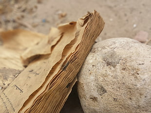 brown book, stones, books, Arabic