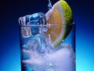 glass with ice cubes and slice of lime HD wallpaper