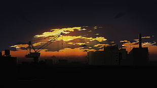 silhouette photo of crane at golden hour, dark, sunset, anime, sky