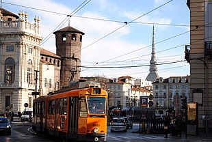 yellow and black train, Torino, tram, Italy
