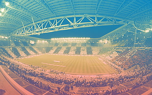 green sports stadium, Juventus, soccer, soccer clubs, stadium HD wallpaper