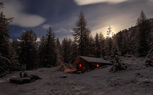 video game screenshot, snow, cabin, trees, winter