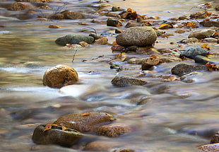 water stream with stones HD wallpaper