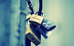selective photo of several locks
