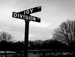 two black Joy St and Division St road signs, Joy Division, unknown pleasures