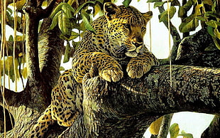 Cheetah resting on tree branch HD wallpaper