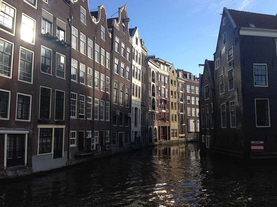brown concrete building, Amsterdam HD wallpaper