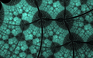 close up photo of green and black textile
