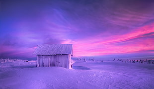 house filled with snow, nature, landscape, hut, snow