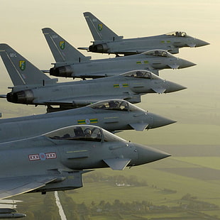 five gray military aircrafts, Eurofighter Typhoon, jet fighter, airplane, aircraft