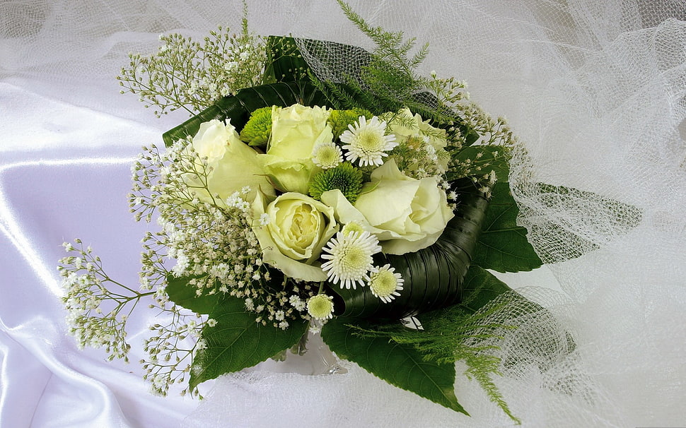 white and green Rose flower bouquet HD wallpaper