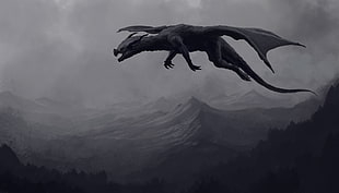 gray western dragon HD wallpaper