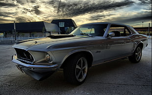 gray Ford Mustang, machine, car, vehicle, Ford