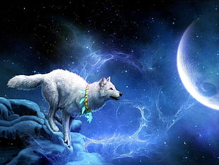 white wolf running outside planet near moon HD wallpaper