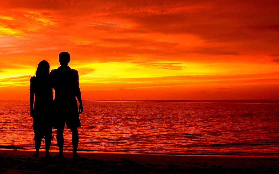 sunset silhouette photo of a couple on beach HD wallpaper