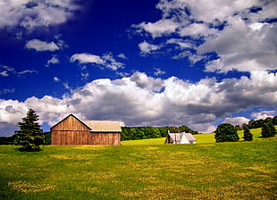 brown wooden barn on green grass field