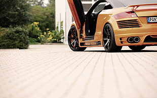 orange sports car, car
