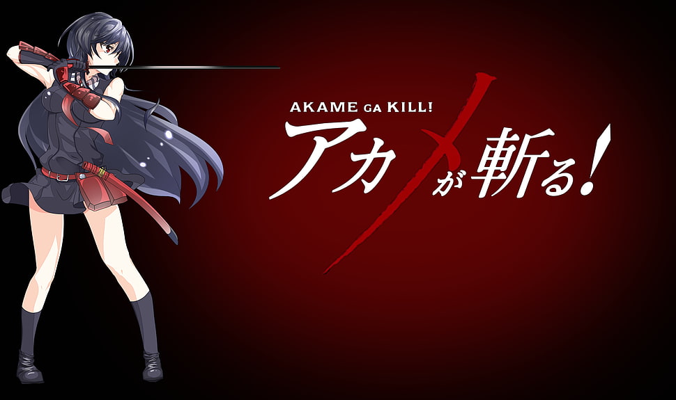 Akame Ga Killi wallpaper, anime, Akame ga Kill!, Akame HD wallpaper