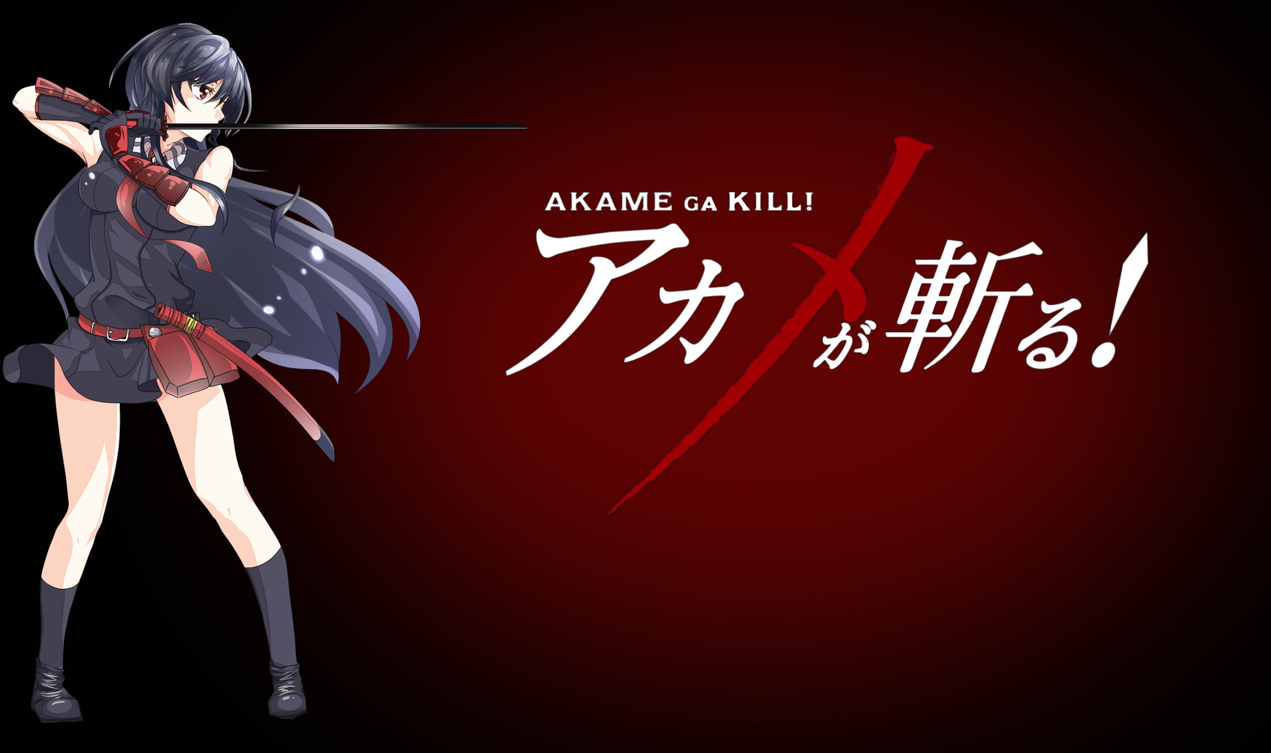 Akame Ga Killi wallpaper, anime, Akame ga Kill!, Akame