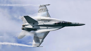 gray and black aircraft, airplane, aircraft, F/A-18 Hornet, contrails